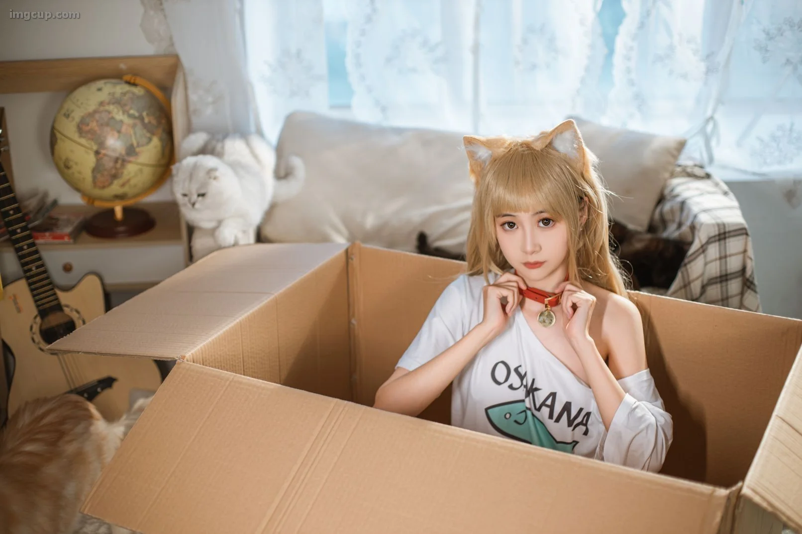 Coser 金鱼kinngyo – NO.14 猫 第4张图