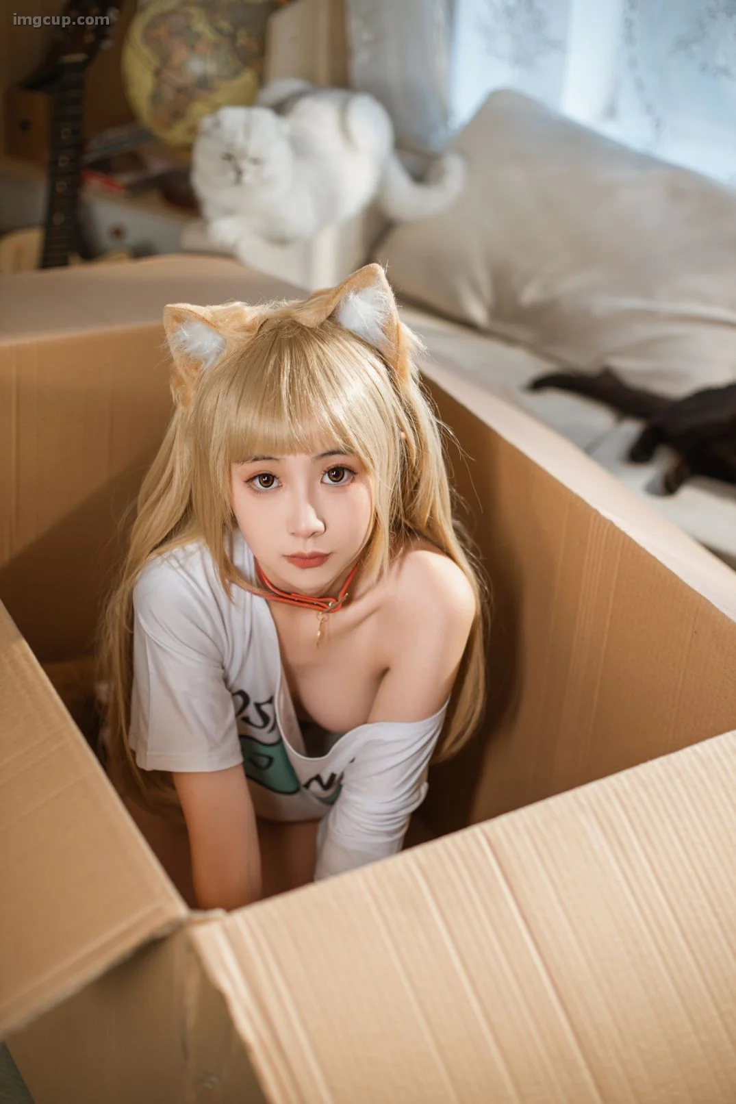 Coser 金鱼kinngyo – NO.14 猫 第17张图